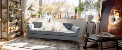BINGOPAW Rectangle Pet Bed for Medium and Large Dogs, Durable Elevated Dog Sofa Bed, Comfortable Dog Couch, Modern Dog Sofa