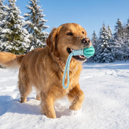 Cotton Rope & Rubber Dog Chew Ball,18x13cm, Durable, for Boredom & Teething
