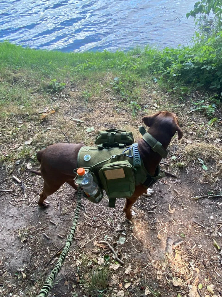 Tactical Dog Harness Collar Leash Molle Pouches For Medium and Large Dogs, Walking Vest Dog Harnesses