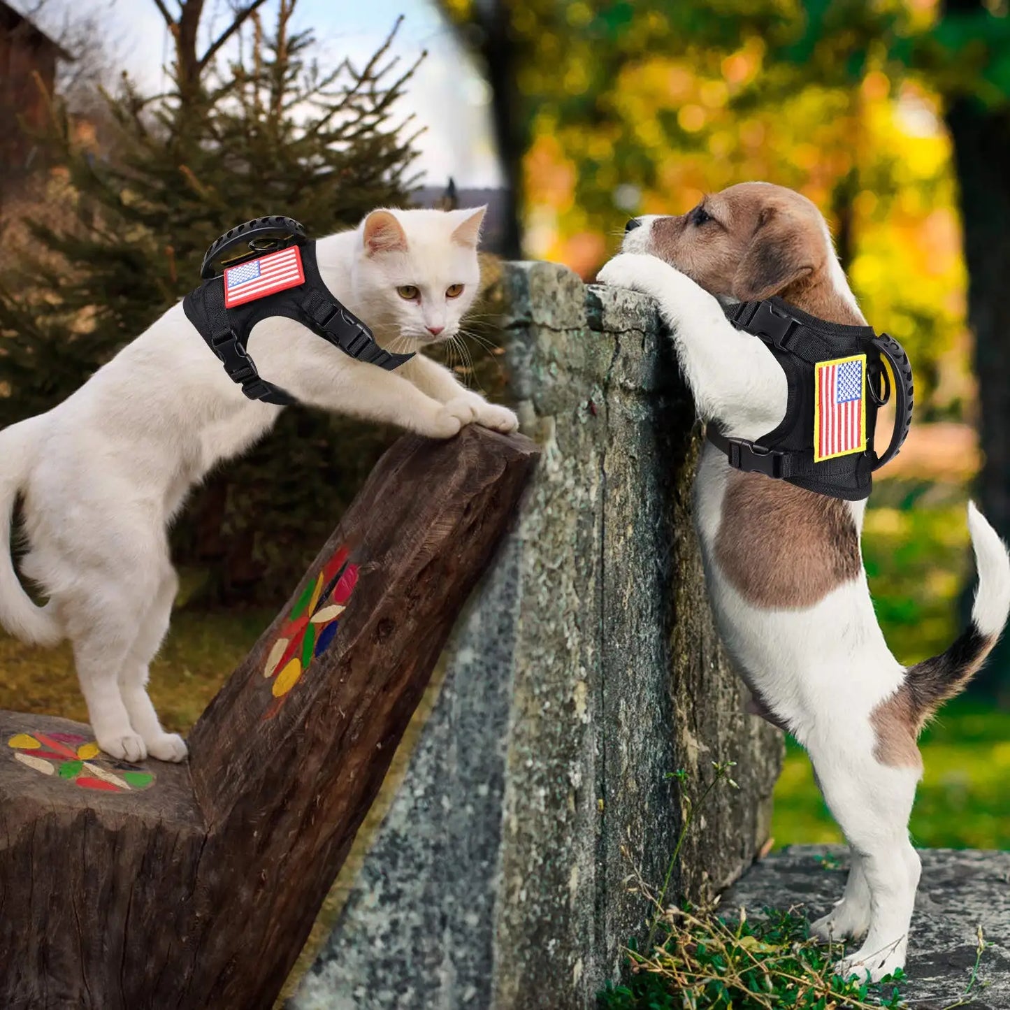 Tactical Puppy Harness Leash Set For Small Dogs, Adjustable Cat or Puppy Harnesses Vest For Training or Walking,