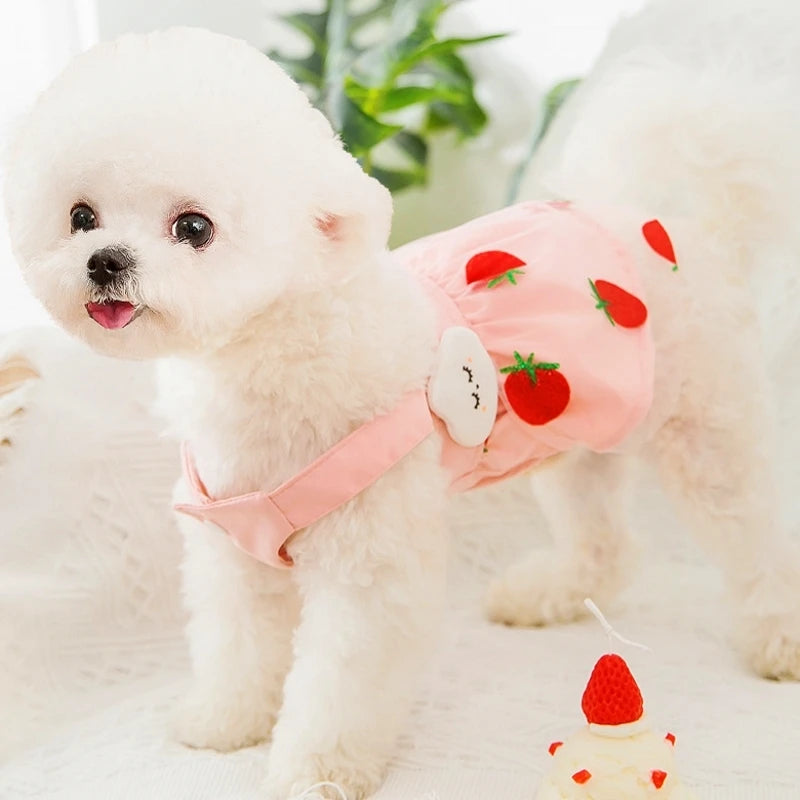 Cute Dog Princess Summer Dress, Poodle, Chihuahua Dog Clothes
