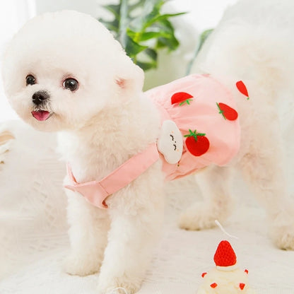 Cute Dog Princess Summer Dress, Poodle, Chihuahua Dog Clothes