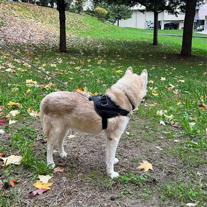 Dog Harness Vest, ID Patch Customized Reflective Breathable Adjustable Pet Harness For Dog